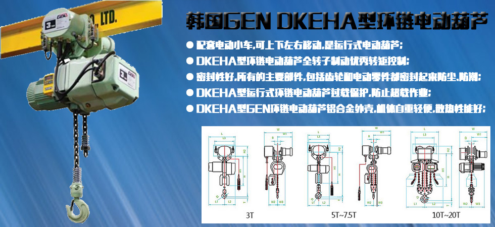 DKEHA型GEN環(huán)鏈電動葫蘆圖