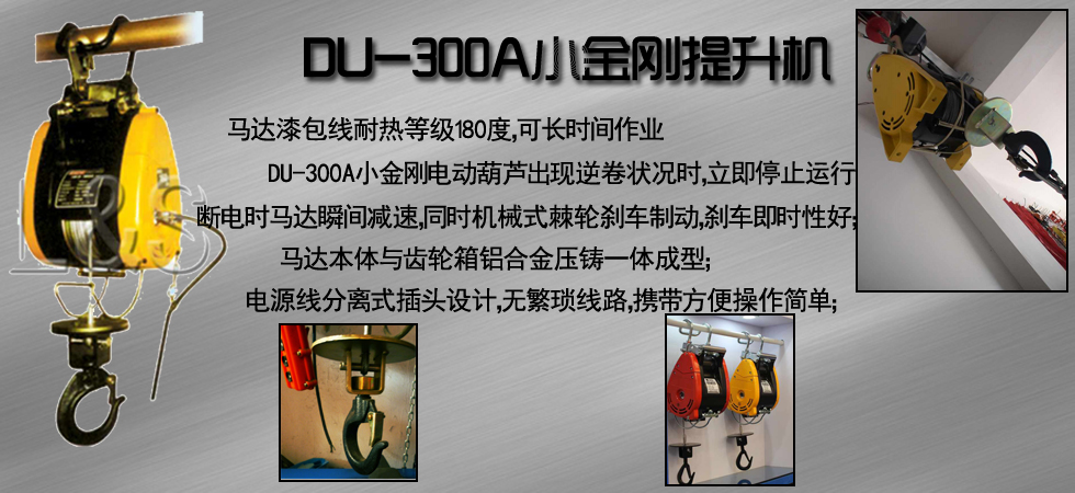 DU-300A小金剛電動(dòng)提升機(jī)圖